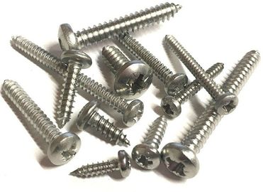 La cruz de la impulsión de Pozi/PZ del llano ahuecó a Pan Head Tapping Screw SS 304 316 hechos